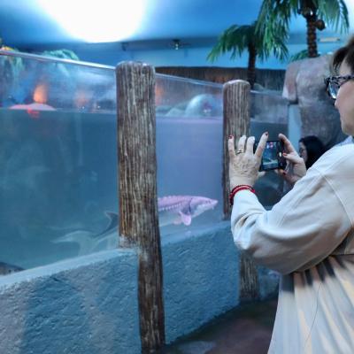 Imagen De Whatsapp 2024 06 21 A Las 13.06.30 54609c3d